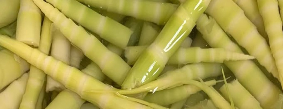 BambooShoot Extract