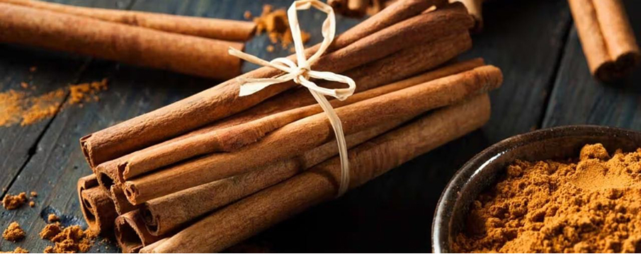 Dalchini (Cinnamomum verum)