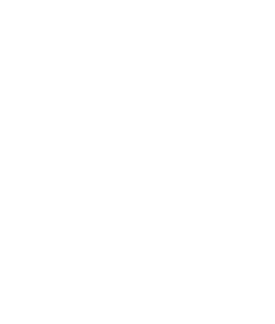 Nirvsa Logo